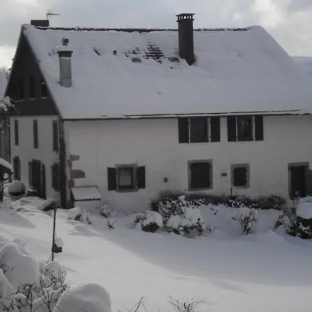 Apartment Renove Avec Randonnees Et A Proximite, A 6 Km De Remiremont - Fr-1-589-151 Le Syndicat