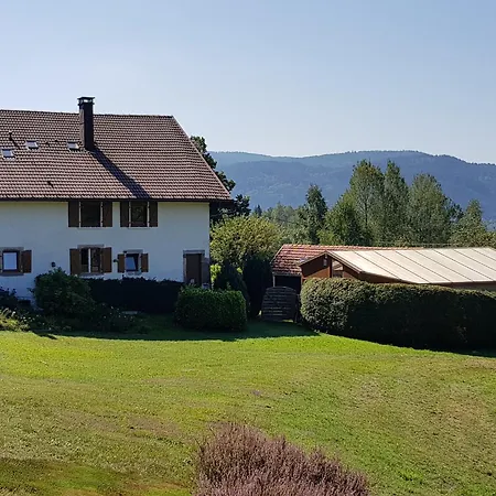 Apartment Renove Avec Randonnees Et A Proximite, A 6 Km De Remiremont - Fr-1-589-151