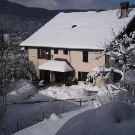 Renove Avec Randonnees Et A Proximite, A 6 Km De Remiremont - Fr-1-589-151 * Le Syndicat