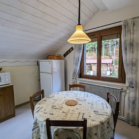 Renove Avec Randonnees Et A Proximite, A 6 Km De Remiremont - Fr-1-589-151 Apartment *