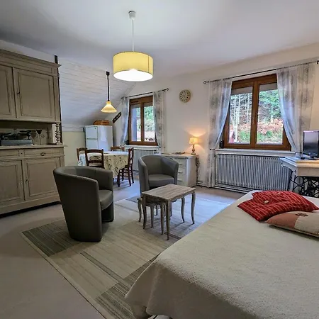 Renove Avec Randonnees Et A Proximite, A 6 Km De Remiremont - Fr-1-589-151 * Le Syndicat