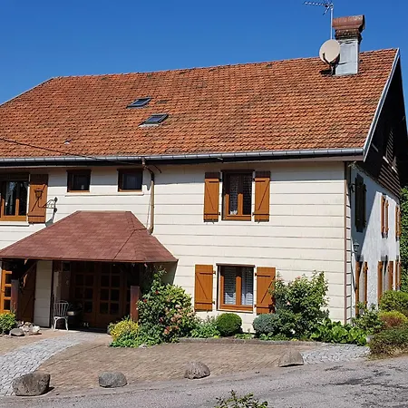 Renove Avec Randonnees Et A Proximite, A 6 Km De Remiremont - Fr-1-589-151 Apartment *