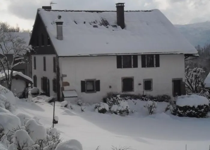 Apartmán Renove Avec Randonnees Et A Proximite, A 6 Km De Remiremont - Fr-1-589-151 Le Syndicat