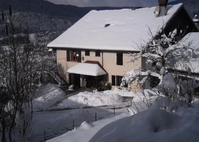 Renove Avec Randonnees Et A Proximite, A 6 Km De Remiremont - Fr-1-589-151 * Le Syndicat