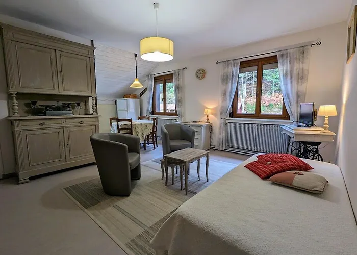 Renove Avec Randonnees Et A Proximite, A 6 Km De Remiremont - Fr-1-589-151 * Le Syndicat